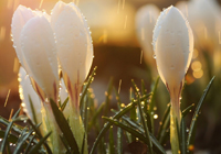 1.15亿天才亲承只爱曼联：2年密谋曝光，英超格局恐将巨变