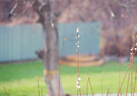 狂人魔力再现！穆里尼奥本菲卡11场不败，3场轰11球0失球